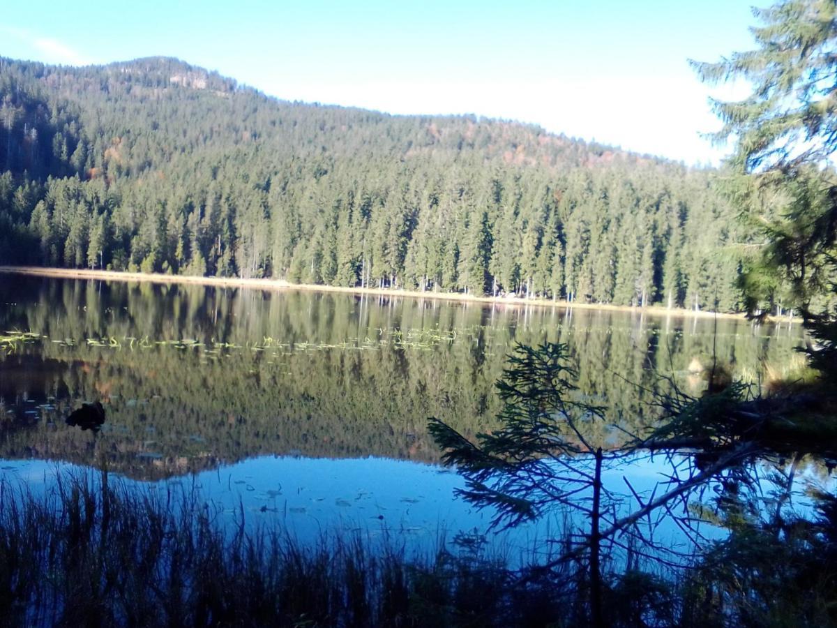 Pension Reindlhoeh Лоберг Экстерьер фото