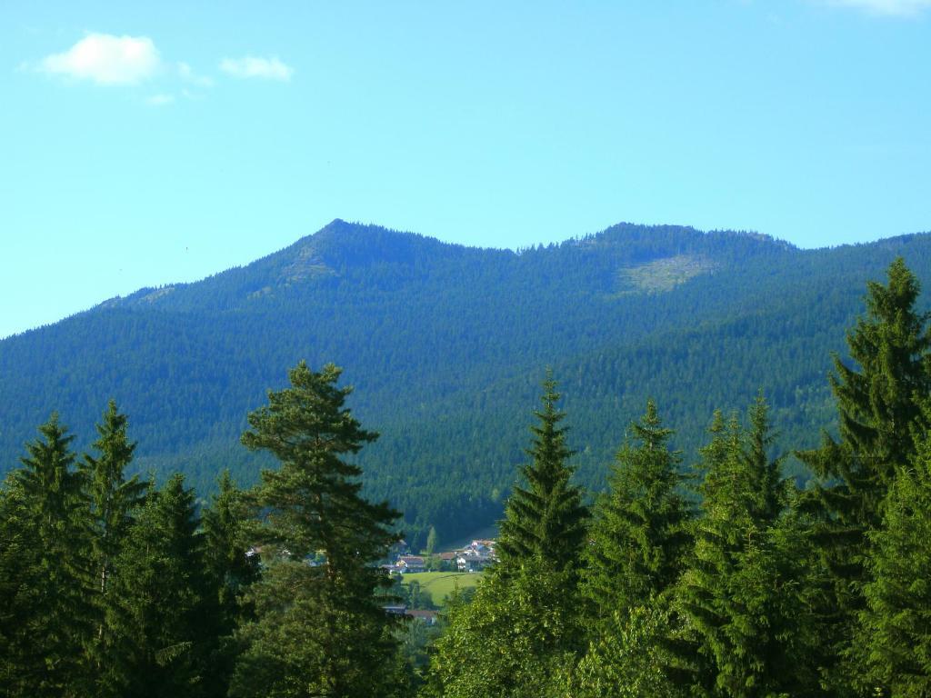 Pension Reindlhoeh Лоберг Экстерьер фото