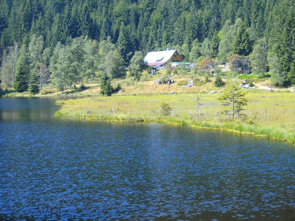 Pension Reindlhoeh Лоберг Экстерьер фото