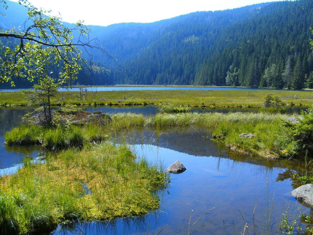 Pension Reindlhoeh Лоберг Экстерьер фото